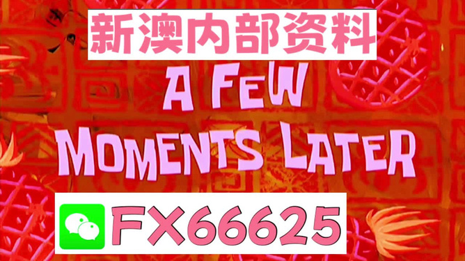 新澳最新内部资料解析，新澳内部资料深度解析