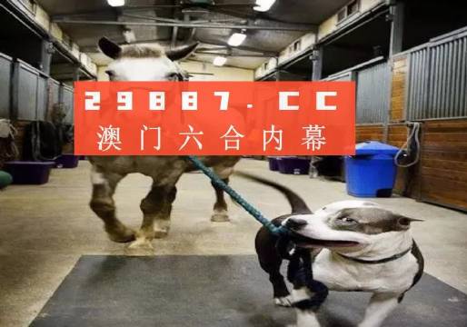 澳门一肖一码一必中，同舟共济扬帆前进，澳门一肖一码精准预测，同舟共济共赴未来