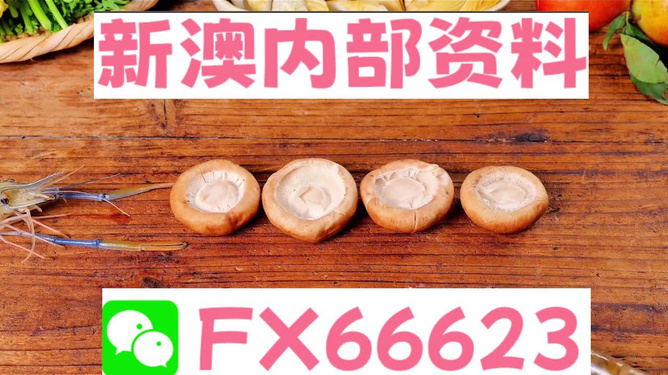 新澳正版资料免费提供，助力学习成长，新澳正版资料助力学习成长之路