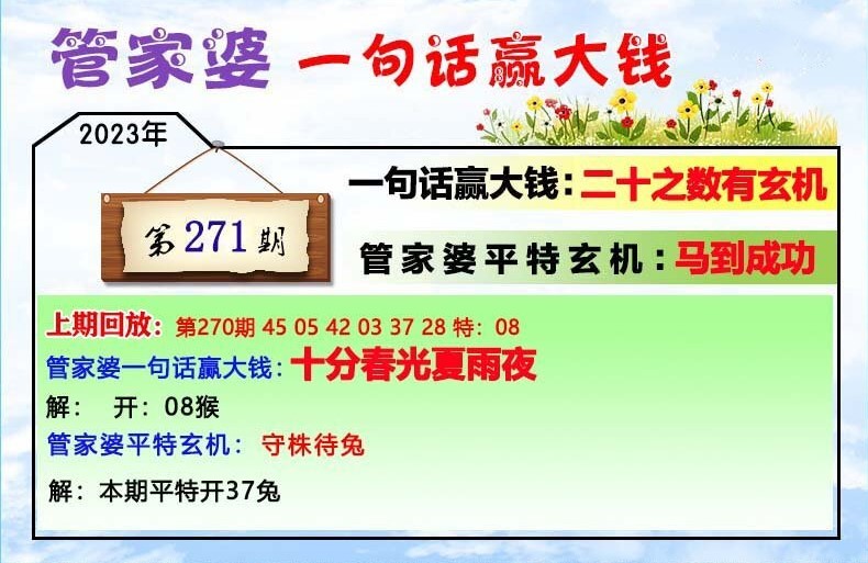 揭秘202管家婆一肖一码，解码神秘数字的魅力，揭秘神秘数字魅力，解码管家婆一肖一码的秘密