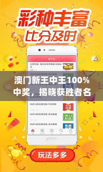 揭秘新澳门王中王，期期中之谜与博彩文化，揭秘新澳门王中王，期期中之谜与博彩文化探秘