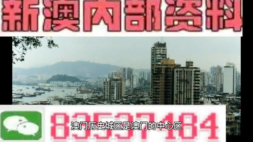 2025年澳门精准免费大全，澳门精准免费大全（2025版）