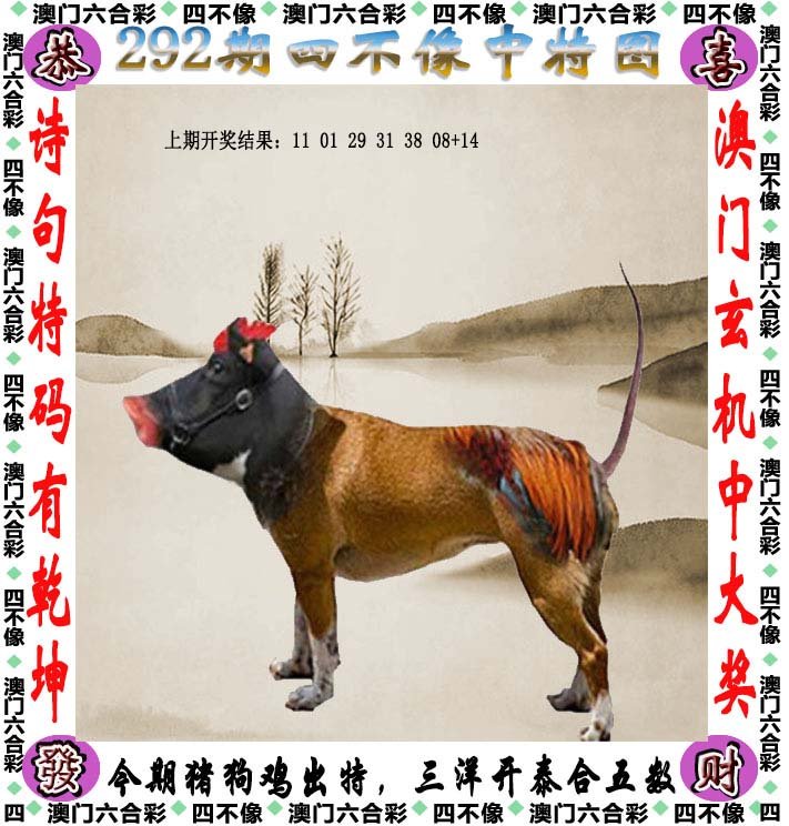澳门今晚开正版四不像，揭秘彩票背后的故事，澳门彩票揭秘，正版四不像背后的故事