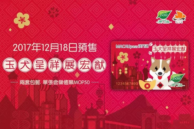 澳门正版资料大全资料生肖卡，澳门正版资料大全，生肖卡全收录
