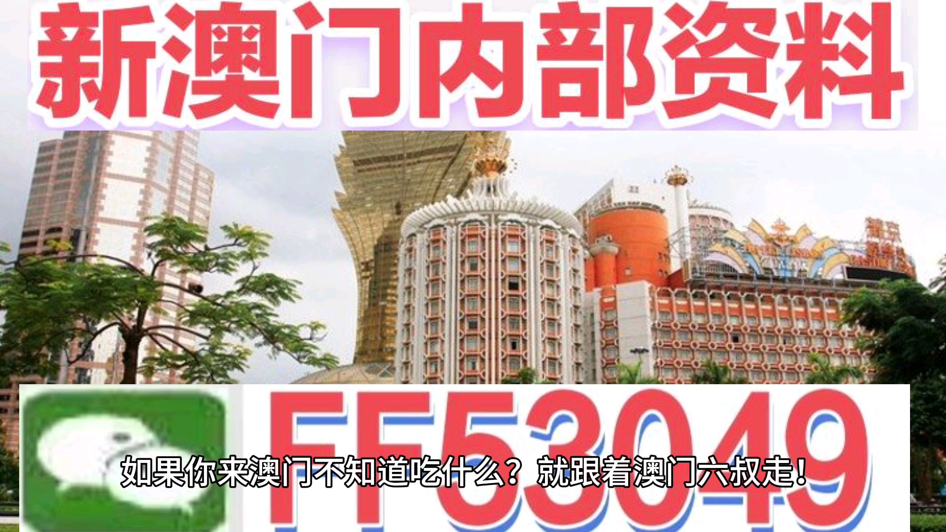 2025澳门特马今晚开奖亿彩网书肖在哪几个，澳门特马今晚开奖预测及书肖分析