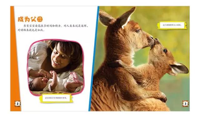 澳门今晚开正版四不像的最新消息，澳门今晚正版四不像最新开奖资讯
