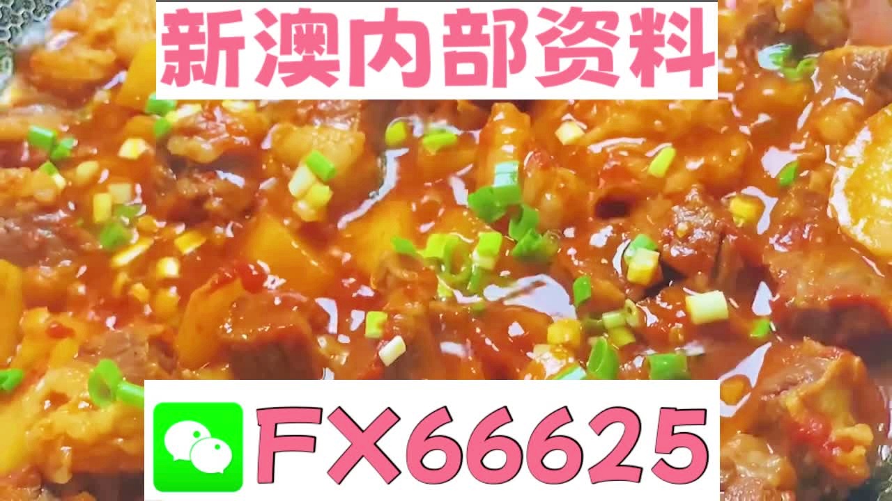 新奥长期免费资料大全三肖—深度探索与解析，新奥长期免费资料大全三肖，深度探索与解析概览