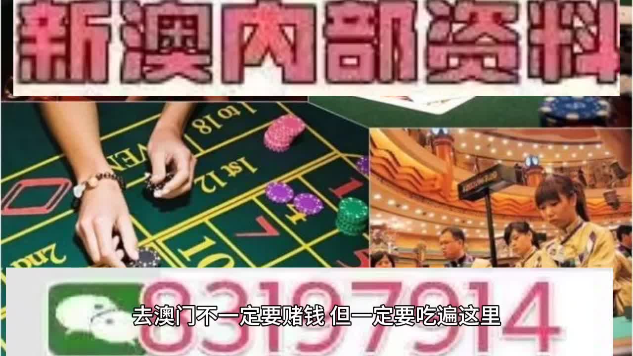 新澳门特免费大全7456，探索澳门的魅力与特色，澳门魅力探索，新澳门特免费大全7456