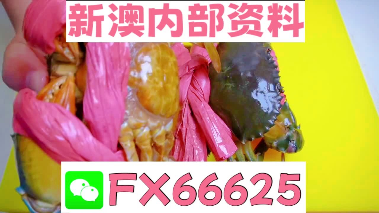 2025新澳精准资料 第5页