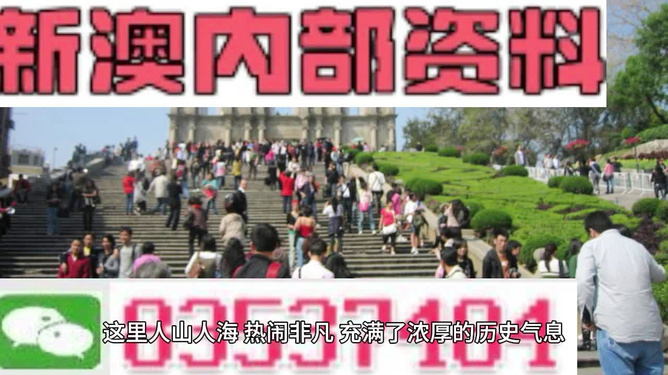 澳门最精准免费资料大全旅游团—探索澳门之美，澳门探索之旅，最精准免费资料大全旅游团