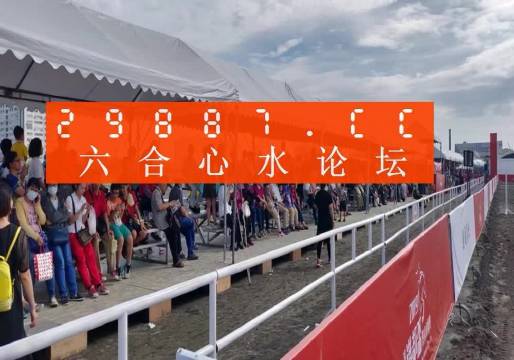 揭秘新奥门49码资料，一网打尽各类信息，澳门49码资料大揭秘，一网打尽全方位信息