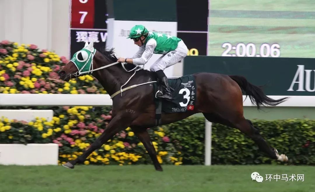 今晚上香港开特马开什么，香港今晚特马开奖结果揭晓