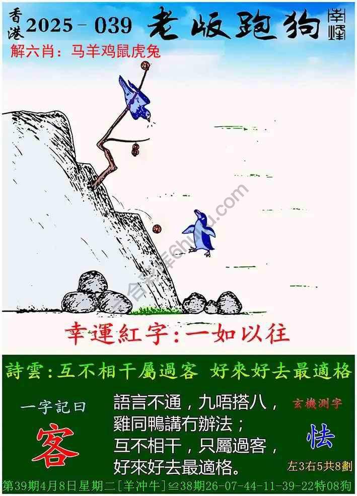 2025澳门最精准跑狗图解析，澳门跑狗图解析，揭秘精准预测秘籍