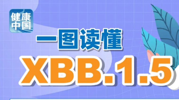 探索澳门，2025正版资料的魅力之旅，澳门之旅，探索魅力与2025正版资料之谜