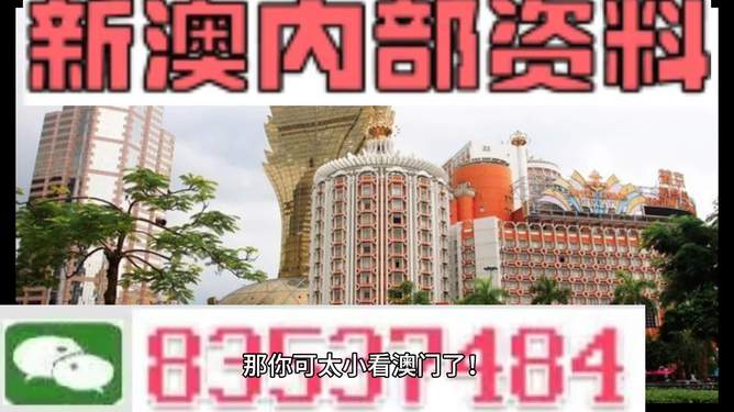 新奥精准资料，澳门免费分享的资源盛宴，新奥精准资料与澳门免费资源分享盛宴