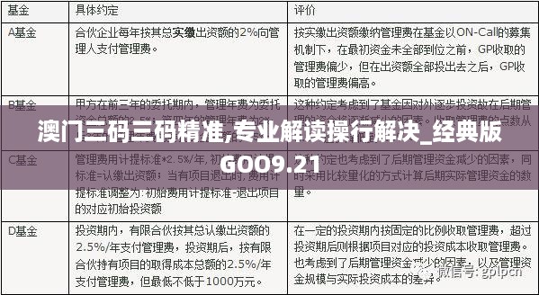 澳门三码三码精准100%精准，澳门三码精准预测，百分百准确之选