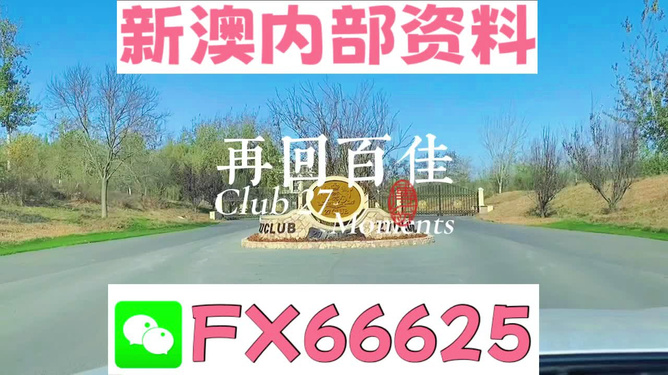 澳彩全年资料免费大全，澳彩全年资料免费大全汇总