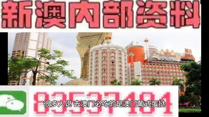 澳门内部资料免费公开，深度探索与解读，澳门内部资料深度解读与公开探索
