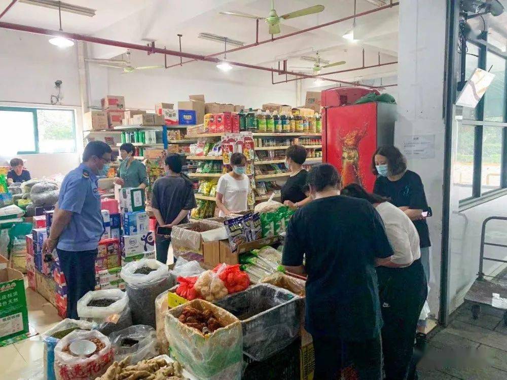 新澳好彩免费资料查询最新版本，新澳好彩免费资料查询最新版发布