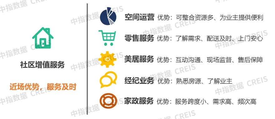 2025年全年资料，2025年全年资料概览