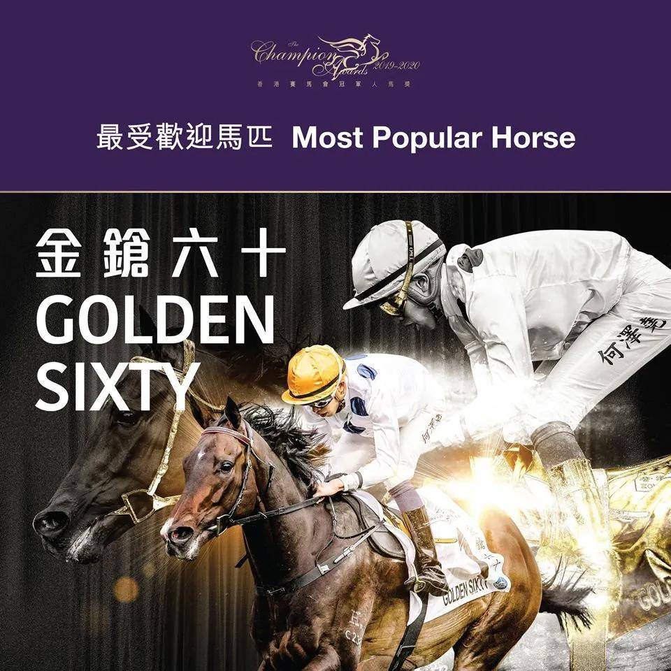 香港二四六开奖结果十期最新消息，香港二四六开奖结果最新消息十期揭晓