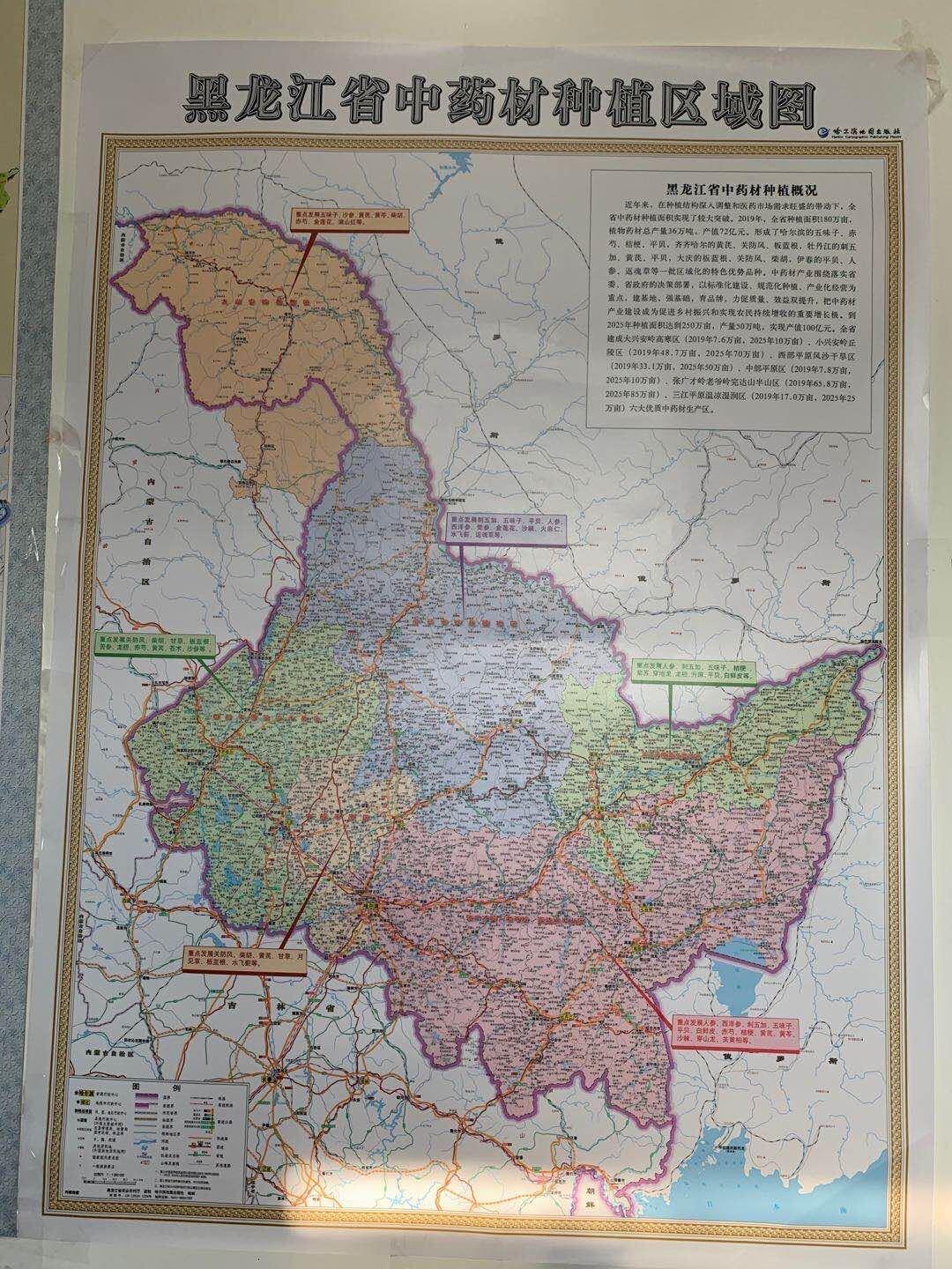 2025香港精准资料，香港精准资料 2025年预测报告
