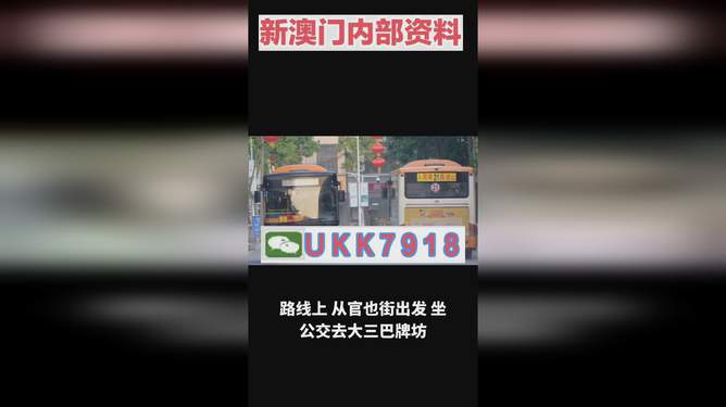 2025澳门特马今晚买什么码，澳门今晚特马码预测与购买建议