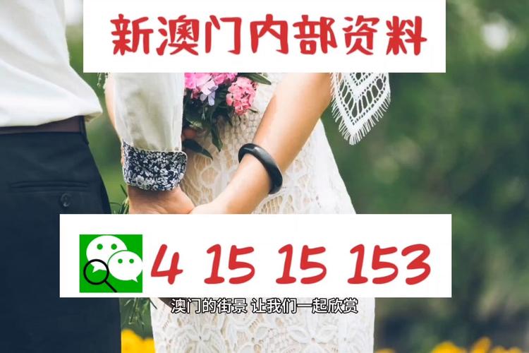澳门免费资料2020精选，澳门免费资料精选 2020版