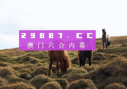 奥门开奖结果实时更新，解读彩票背后的秘密，澳门彩票开奖结果实时更新，揭示彩票背后的秘密