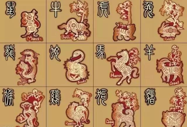 香港正版免费大全资料二○二三年生肖运势解析，2023年生肖运势解析（香港正版免费大全资料）