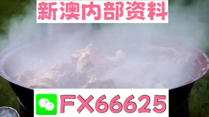 新澳正版资料天天大全，新澳正版资料天天更新汇总