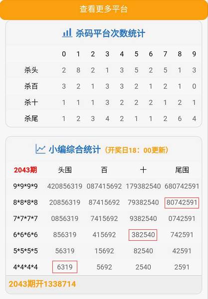 四肖八码规律公式的奥秘探索，四肖八码规律公式的奥秘揭秘