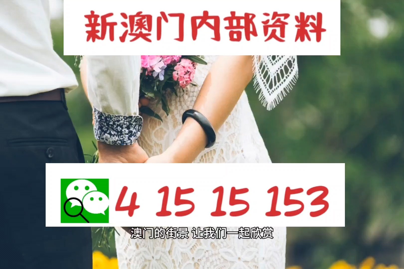 2025新澳门精准正版图库138期，澳门正版图库 2025年 第138期精彩呈现