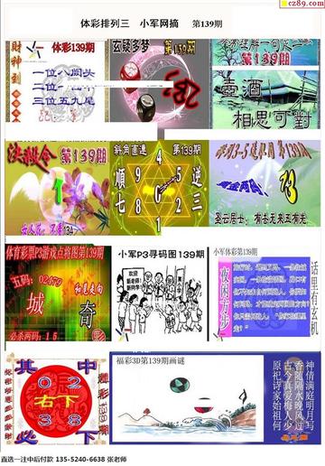 澳门一码一肖一待一中四不像—揭秘背后的神秘面纱，澳门一码一肖背后的神秘面纱揭秘