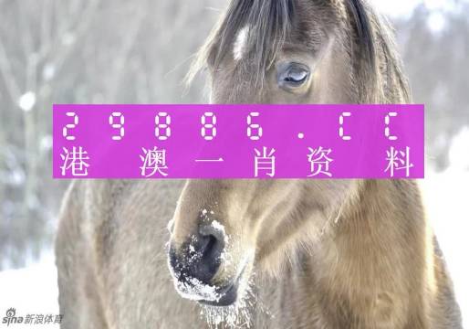 澳门一肖一码百分百准确预测揭秘，澳门一肖一码准确预测揭秘，百分百命中率揭秘