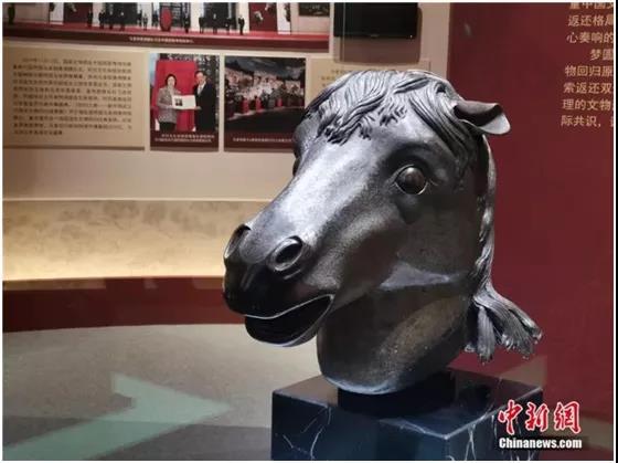 2021年香港马资料大资料大全6深度解析，香港马资料大解析，深度解读香港赛马资讯（2021年）