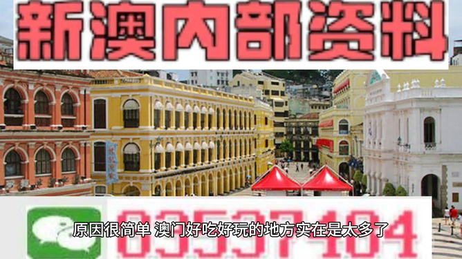 澳门内部资料精准公开，澳门内部资料精准公开大揭秘