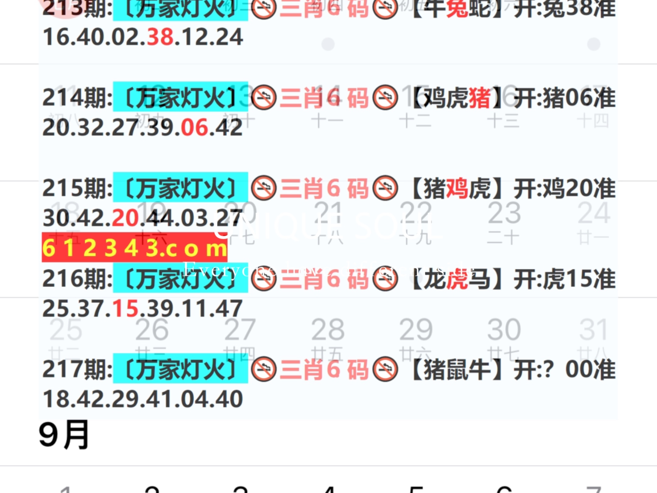 蓝月亮四肖八码精选大全，蓝月亮四肖八码精选总汇