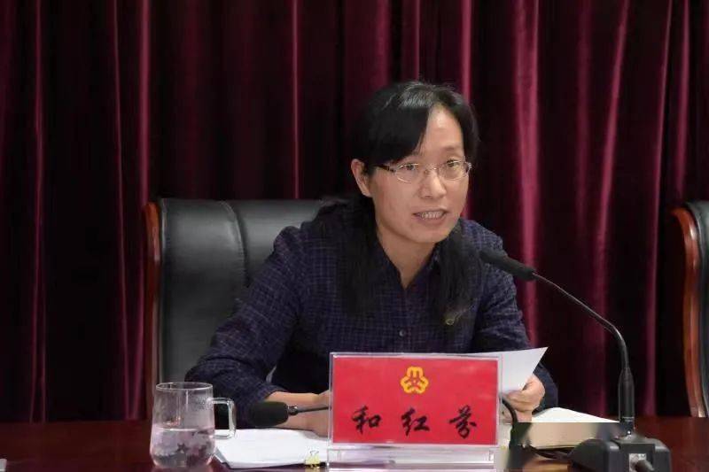 澳门二四六天下彩天天免费大全，澳门二四六天下彩免费大全揭秘