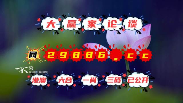 揭秘626969管家婆一肖中特，神秘彩民的胜利之道，揭秘神秘彩民胜利之道，626969管家婆一肖中特揭秘与彩民成功秘诀