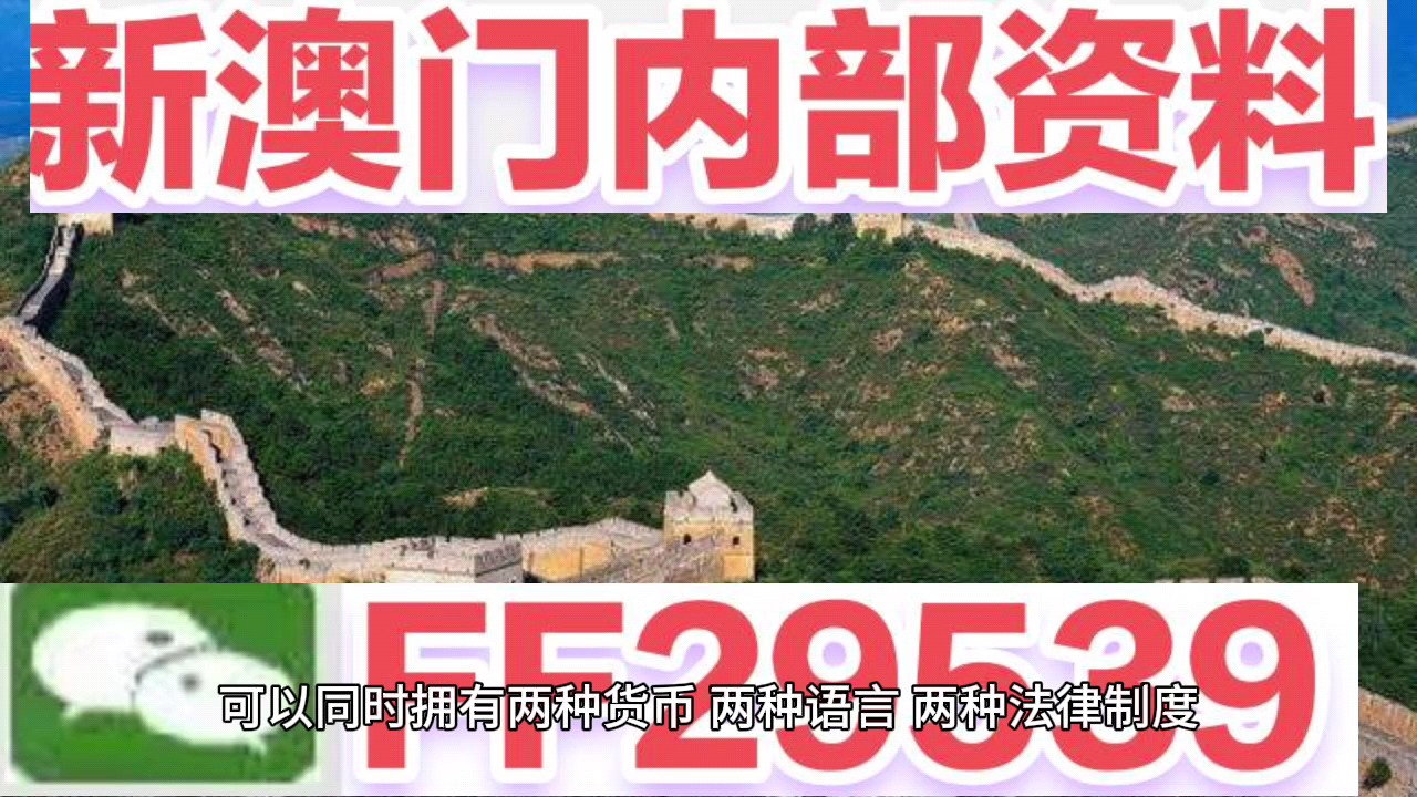 澳门4949今晚开奖结果，揭秘彩票背后的故事与期待，澳门彩票开奖背后的故事与期待揭晓，今晚4949开奖结果揭秘