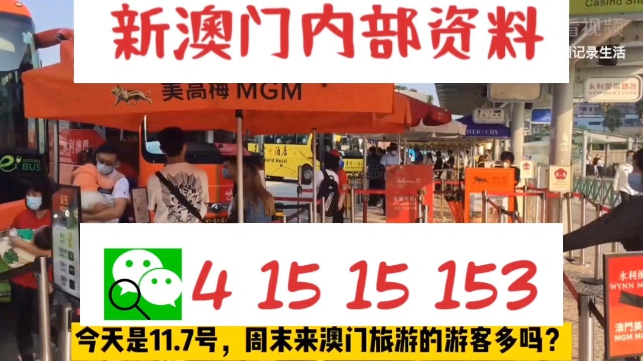 探索澳门今晚特马九肖中特的奥秘，澳门今晚特马九肖中特奥秘探索