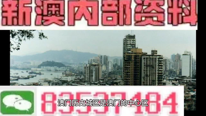 新澳门免费资料大全—在线查看的便捷之道，澳门免费资料大全，在线便捷查看指南
