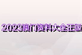 2025年澳门正版全资料概览，澳门正版全资料概览（2025版）