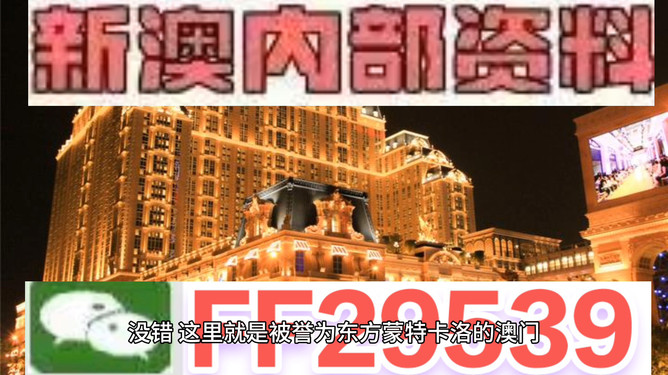2025澳门特马今晚买什么码，澳门今晚特马码预测与购买建议