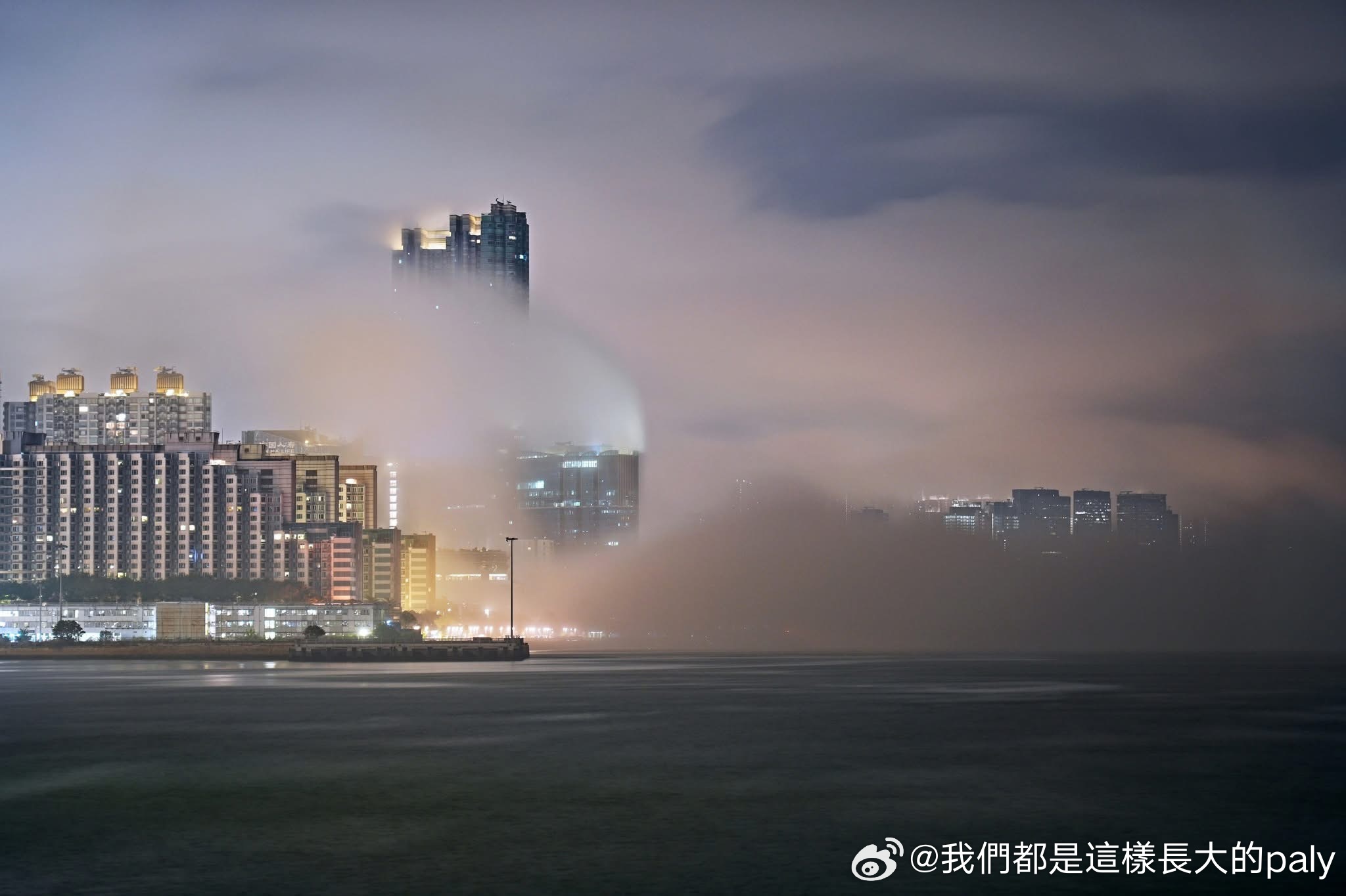 探索未来，2025芳草地新澳门网站的新视界，探索未来视界，澳门新视界网站展望2025年展望新篇章