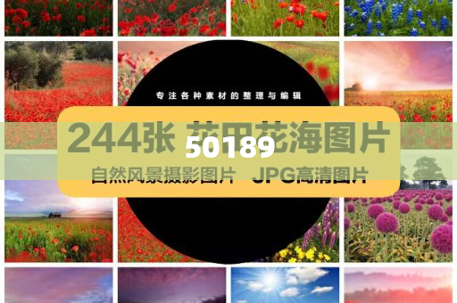 2025港六今晚开奖号码，港六今晚开奖号码预测及分析