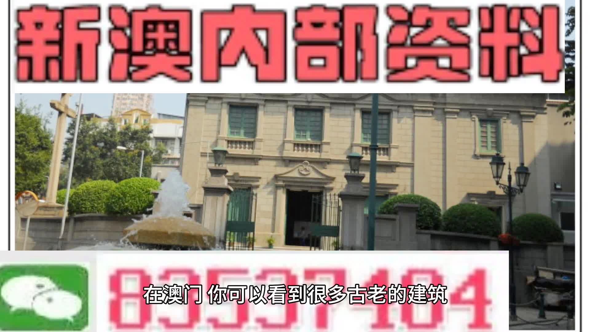 新门内部资料大全免费，新门内部资料大全免费获取指南