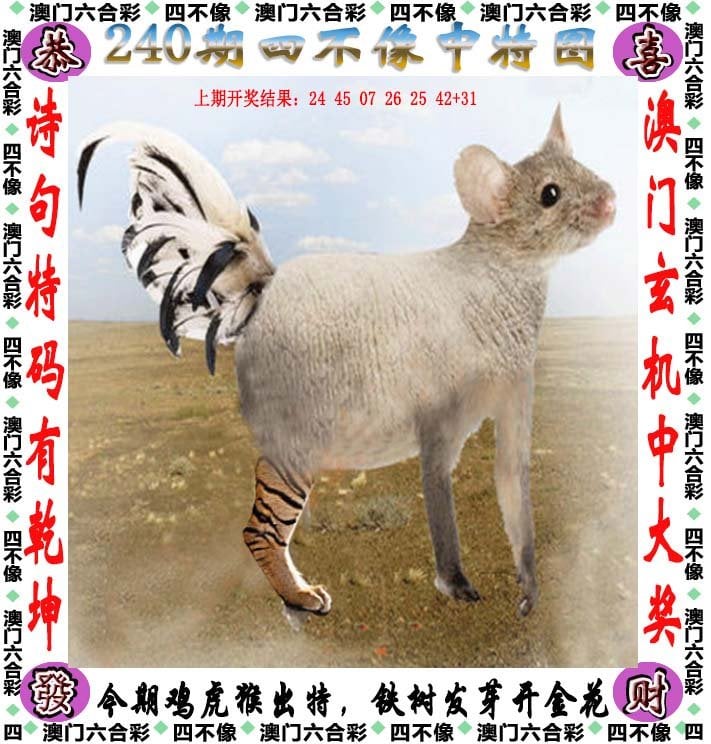 探索澳门，2025正版四不像的独特魅力，探索澳门，揭秘四不像的独特魅力之旅 2025版