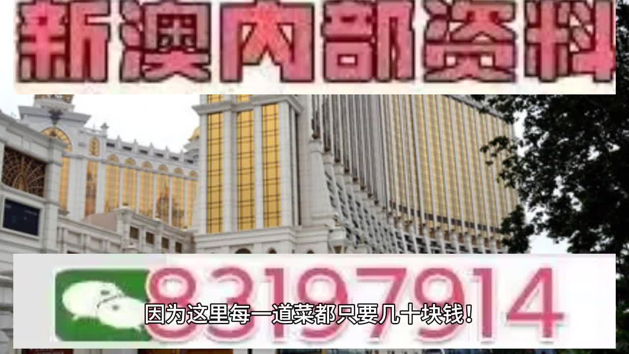 澳门特马的历史与背景，澳门特马的历史背景与概述